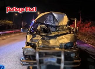 Van slams into wild elephant on Rayong highway as driver heads to work