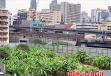Bangkok plans tax hike to flush out ‘Fake Farming’ on prime Land