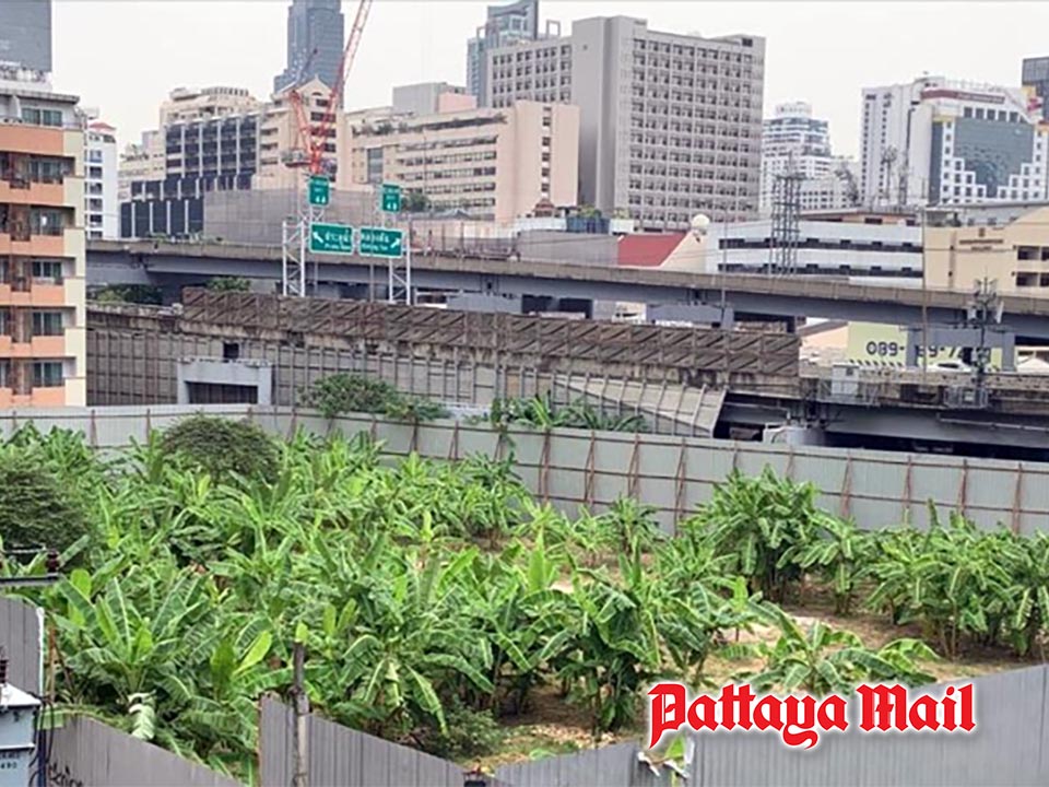 Bangkok plans tax hike to flush out ‘Fake Farming’ on prime Land