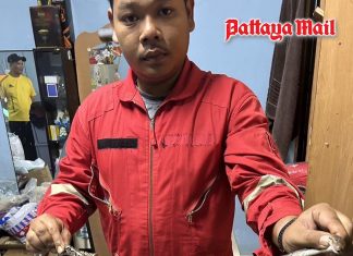 Warmth-seeking snake finds hideout behind wardrobe in Pattaya home