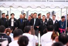 Thailand’s rice future takes root in Suphan Buri fields