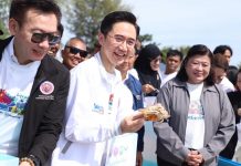 Thailand links blue crabs, coral and dolphins in Songkhla conservation drive