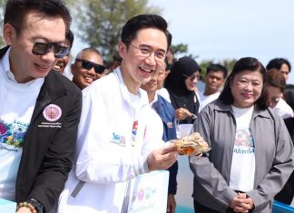 Thailand links blue crabs, coral and dolphins in Songkhla conservation drive