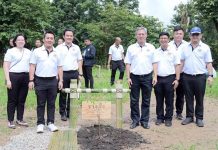 Thailand turns highway land into carbon forests under new green initiative