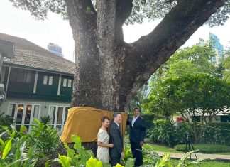 US embassy Bangkok marks 250th independence anniversary with tree ordination ceremony