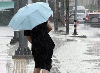 Thailand under heavy rain alert, flash floods and forest runoff feared
