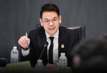 Thailand rethinks platform economy law, says EU model too strict