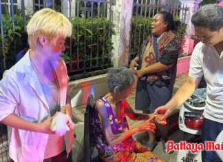 Brave teenager rescues brother, 96-year-old grandma and six cats from Pattaya inferno