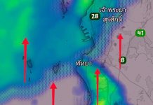 Rain keeps Pattaya awake through the night