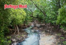 Pattaya plans canal clearance after 149 homes found encroaching