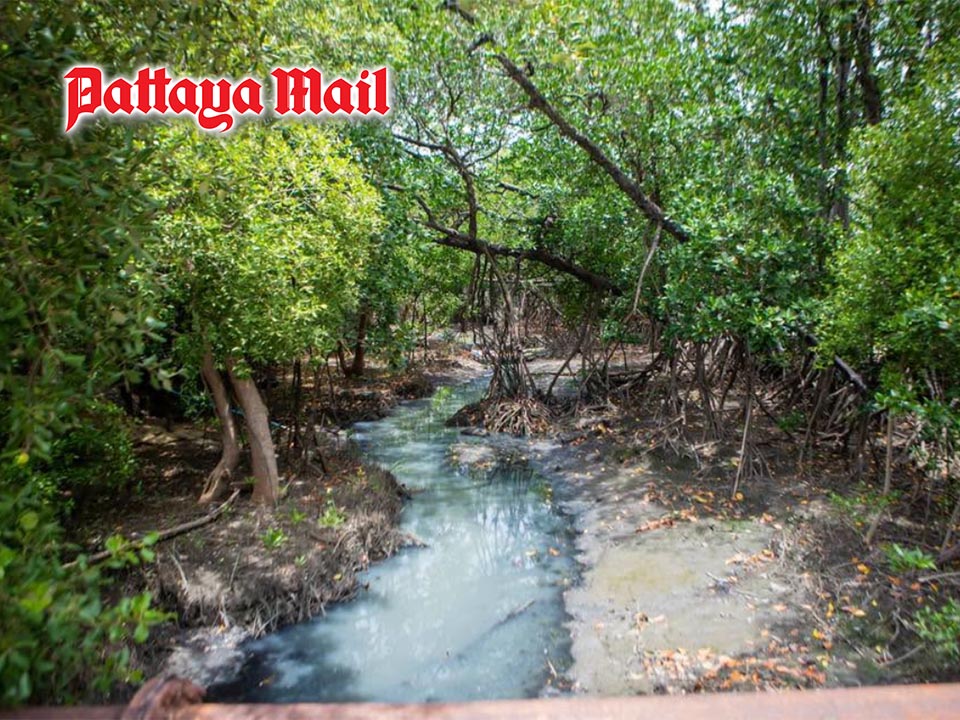 Pattaya plans canal clearance after 149 homes found encroaching
