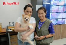 Shaken lost dog spends a day under police watch before going home