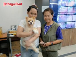 Shaken lost dog spends a day under police watch before going home