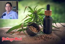 Thailand moves cannabis firmly back into medical use
