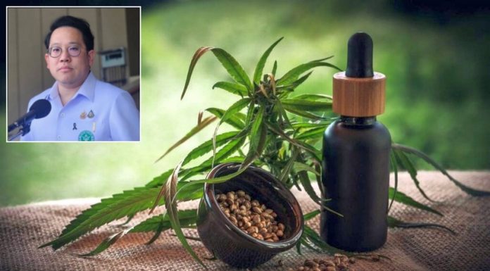 Thailand moves cannabis firmly back into medical use