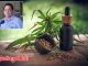 Thailand moves cannabis firmly back into medical use