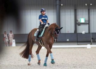 Princess Sirivannavari continues dressage training ahead of Aichi-Nagoya 2026