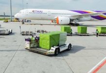 Thai Airways apologizes over baggage backlog, cancels eight more flights