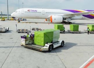 Thai Airways apologizes over baggage backlog, cancels eight more flights