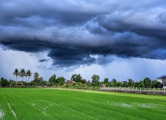 Flood threat mounts across Thailand with torrential rain forecast