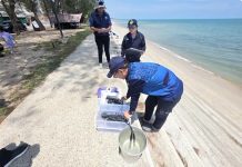 Thailand investigates wastewater discharge at Cha-am Beach