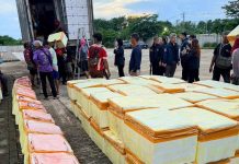 Customs seize 16.5 tons of Chinese pork hidden under vegetables in Chiang Rai