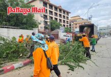 Pattaya clears Jomtien footpaths of overgrown branches and rubbish
