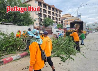 Pattaya clears Jomtien footpaths of overgrown branches and rubbish