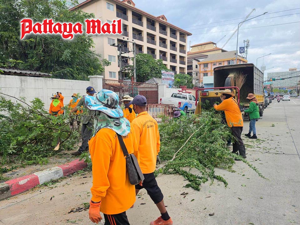 Pattaya clears Jomtien footpaths of overgrown branches and rubbish