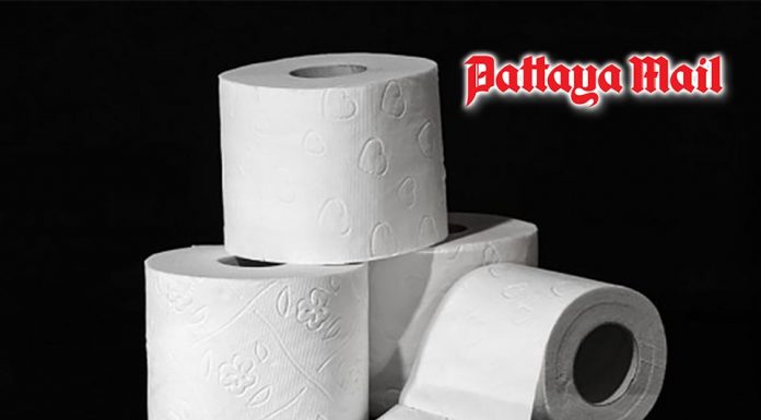 The hidden purpose of toilet paper patterns goes beyond decoration