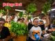 Bangkok basil sellers question protected variety registration