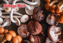 7 health benefits of mushrooms beyond their delicious taste