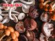 7 health benefits of mushrooms beyond their delicious taste