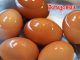 Eating eggs more than five times a week linked to lower Alzheimer’s risk