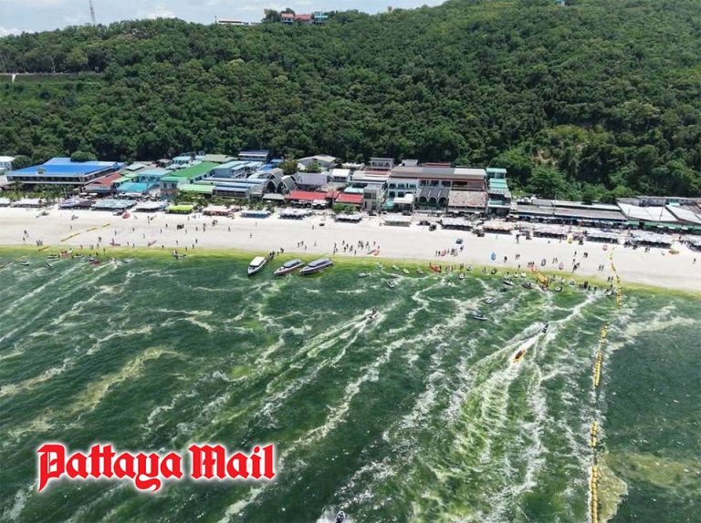 Koh Larn sea turns green after heavy rain, likely natural plankton ...