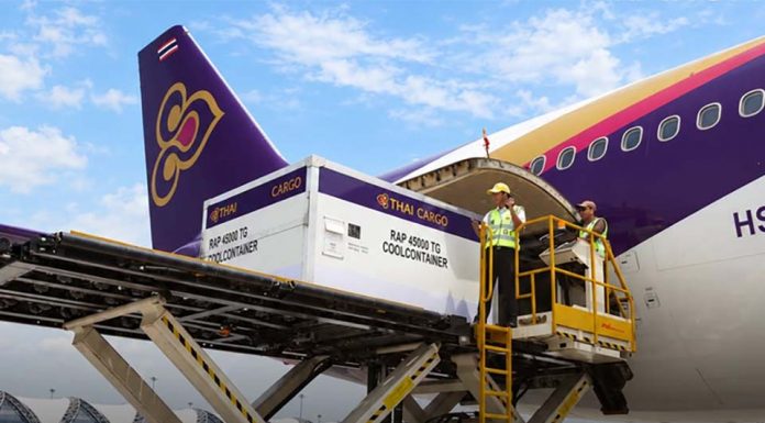 THAI Cargo suspends inbound and outbound shipments until October 6