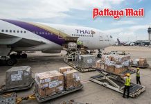 Thai Airways cargo suspension puts exporters under pressure