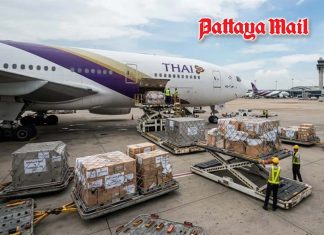 Thai Airways cargo suspension puts exporters under pressure