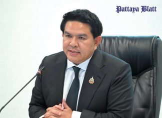 Thailand erwägt Einreisegebühr von 450 Baht für ausländische Besucher