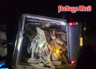 Driver abandons overturned pickup loaded with 279 rosewood logs in Mukdahan