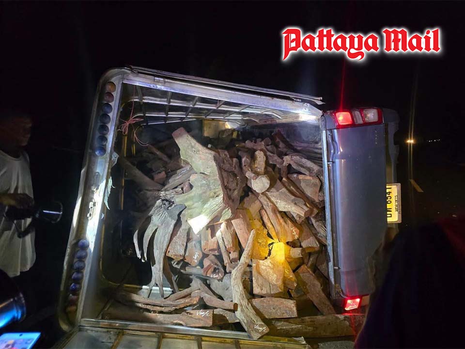 Driver abandons overturned pickup loaded with 279 rosewood logs in Mukdahan