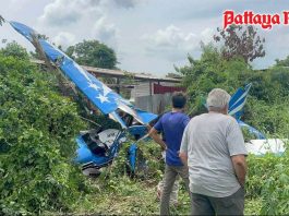 Small plane crashes in East Pattaya field, injuring pilot