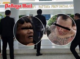 Suspects admit all charges in murder of Russian siblings buried in Huay Yai