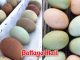 Green eggs are natural, but are they healthier than white or brown?