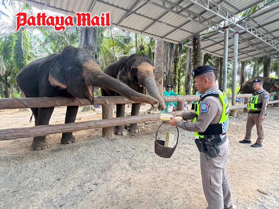 Krabi Tourist Police help visitors enjoy safe elephant feeding experience