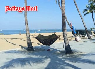 Pattaya officers ask tourist to remove hammock tied between two coconut trees