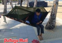 Pattaya officers ask tourist to remove hammock tied between two coconut trees
