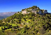 Wine World – When Less is More