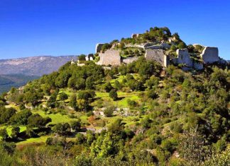 Wine World – When Less is More