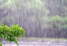 Thailand faces heavy rain and flood risks under fourth weather warning